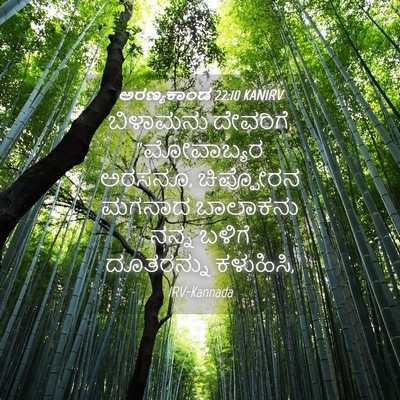 Picture 04 - ಅರಣ್ಯಕಾಂಡ 22:10 KANIRV - ಬಿಳಾಮನು ದೇವರಿಗೆ, - Bible Verse Picture