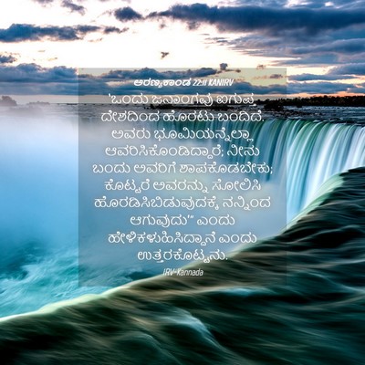 Picture 04 - ಅರಣ್ಯಕಾಂಡ 22:11 KANIRV - ‘ಒಂದು ಜನಾಂಗವು - Bible Verse Picture