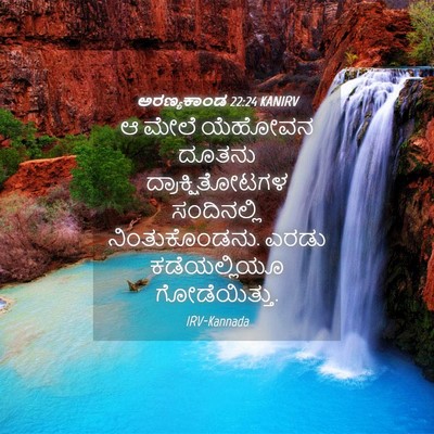 Picture 04 - ಅರಣ್ಯಕಾಂಡ 22:24 KANIRV - ಆ ಮೇಲೆ ಯೆಹೋವನ - Bible Verse Picture