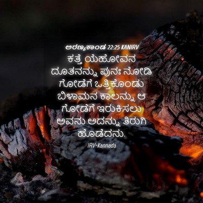 Picture 04 - ಅರಣ್ಯಕಾಂಡ 22:25 KANIRV - ಕತ್ತೆ ಯೆಹೋವನ - Bible Verse Picture