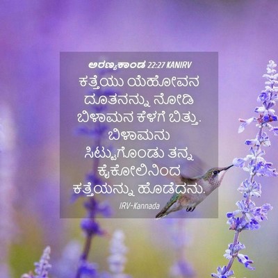 Picture 04 - ಅರಣ್ಯಕಾಂಡ 22:27 KANIRV - ಕತ್ತೆಯು ಯೆಹೋವನ - Bible Verse Picture