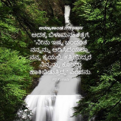 Picture 04 - ಅರಣ್ಯಕಾಂಡ 22:29 KANIRV - ಅದಕ್ಕೆ ಬಿಳಾಮನು - Bible Verse Picture