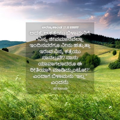 Picture 04 - ಅರಣ್ಯಕಾಂಡ 22:30 KANIRV - ಅದಕ್ಕೆ ಆ ಕತ್ತೆಯು - Bible Verse Picture