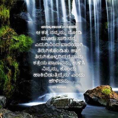 Picture 04 - ಅರಣ್ಯಕಾಂಡ 22:33 KANIRV - ಆ ಕತ್ತೆ ನನ್ನನ್ನು - Bible Verse Picture