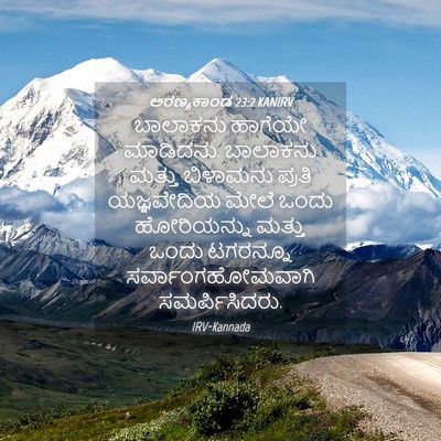 Picture 04 - ಅರಣ್ಯಕಾಂಡ 23:2 KANIRV - ಬಾಲಾಕನು ಹಾಗೆಯೇ - Bible Verse Picture