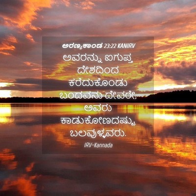 Picture 04 - ಅರಣ್ಯಕಾಂಡ 23:22 KANIRV - ಅವರನ್ನು ಐಗುಪ್ತ - Bible Verse Picture