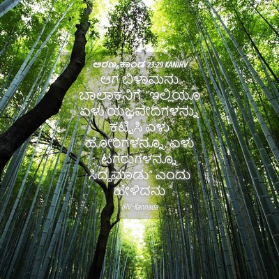Picture 04 - ಅರಣ್ಯಕಾಂಡ 23:29 KANIRV - ಆಗ ಬಿಳಾಮನು - Bible Verse Picture
