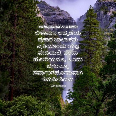Picture 04 - ಅರಣ್ಯಕಾಂಡ 23:30 KANIRV - ಬಿಳಾಮನ ಅಪ್ಪಣೆಯ - Bible Verse Picture