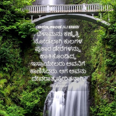 Picture 04 - ಅರಣ್ಯಕಾಂಡ 24:2 KANIRV - ಬಿಳಾಮನು ಕಣ್ಣೆತ್ತಿ - Bible Verse Picture