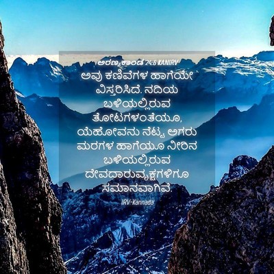 Picture 04 - ಅರಣ್ಯಕಾಂಡ 24:6 KANIRV - ಅವು ಕಣಿವೆಗಳ - Bible Verse Picture