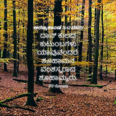 Picture 04 - ಅರಣ್ಯಕಾಂಡ 26:42 KANIRV - ದಾನ್ ಕುಲದ - Bible Verse Picture