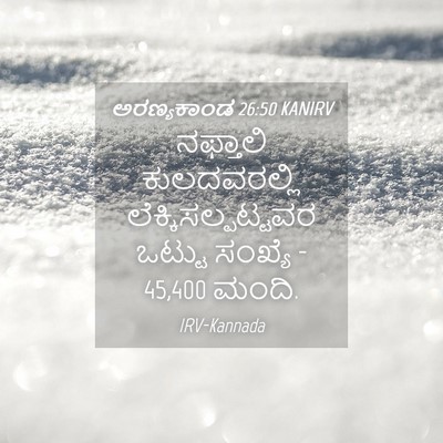 Picture 04 - ಅರಣ್ಯಕಾಂಡ 26:50 KANIRV - ನಫ್ತಾಲಿ - Bible Verse Picture