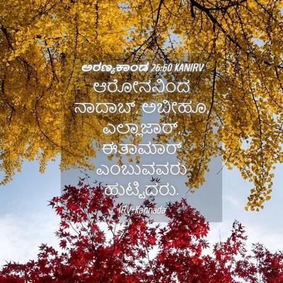 Picture 04 - ಅರಣ್ಯಕಾಂಡ 26:60 KANIRV - ಆರೋನನಿಂದ ನಾದಾಬ್, - Bible Verse Picture
