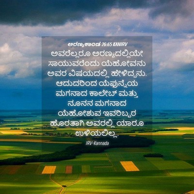 Picture 04 - ಅರಣ್ಯಕಾಂಡ 26:65 KANIRV - ಅವರೆಲ್ಲರೂ - Bible Verse Picture