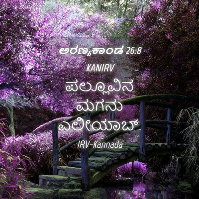 Picture 04 - ಅರಣ್ಯಕಾಂಡ 26:8 KANIRV - ಪಲ್ಲೂವಿನ ಮಗನು - Bible Verse Picture