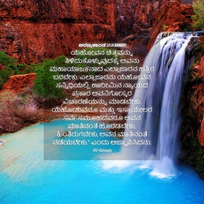 Picture 04 - ಅರಣ್ಯಕಾಂಡ 27:21 KANIRV - ಯೆಹೋವನ ಚಿತ್ತವನ್ನು - Bible Verse Picture