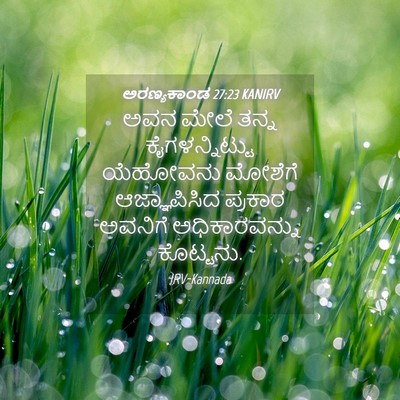 Picture 04 - ಅರಣ್ಯಕಾಂಡ 27:23 KANIRV - ಅವನ ಮೇಲೆ ತನ್ನ - Bible Verse Picture