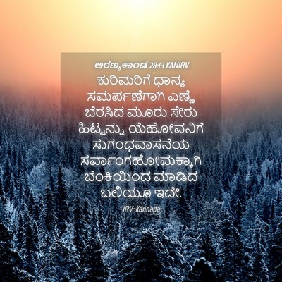 Picture 04 - ಅರಣ್ಯಕಾಂಡ 28:13 KANIRV - ಕುರಿಮರಿಗೆ ಧಾನ್ಯ - Bible Verse Picture