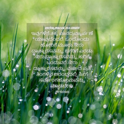 Picture 04 - ಅರಣ್ಯಕಾಂಡ 28:14 KANIRV - ಇವುಗಳಿಗೆ ತಕ್ಕ - Bible Verse Picture