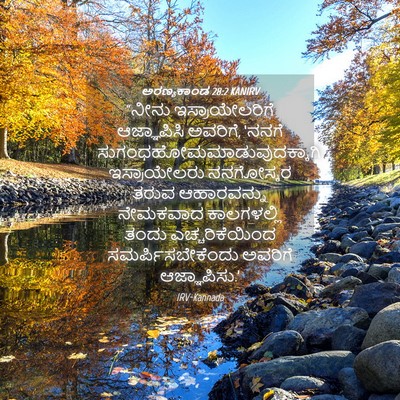 Picture 04 - ಅರಣ್ಯಕಾಂಡ 28:2 KANIRV - “ನೀನು - Bible Verse Picture