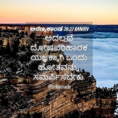 Picture 04 - ಅರಣ್ಯಕಾಂಡ 28:22 KANIRV - ಅದಲ್ಲದೆ - Bible Verse Picture