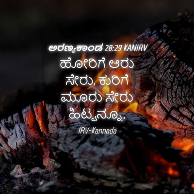 Picture 04 - ಅರಣ್ಯಕಾಂಡ 28:29 KANIRV - ಹೋರಿಗೆ ಆರು ಸೇರು, - Bible Verse Picture