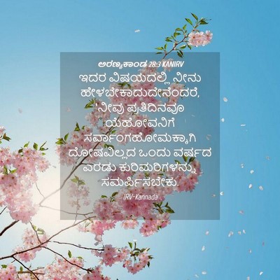 Picture 04 - ಅರಣ್ಯಕಾಂಡ 28:3 KANIRV - ಇದರ ವಿಷಯದಲ್ಲಿ - Bible Verse Picture