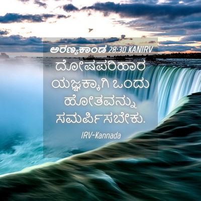 Picture 04 - ಅರಣ್ಯಕಾಂಡ 28:30 KANIRV - ದೋಷಪರಿಹಾರ - Bible Verse Picture