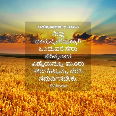 Picture 04 - ಅರಣ್ಯಕಾಂಡ 28:5 KANIRV - ನೀವು - Bible Verse Picture