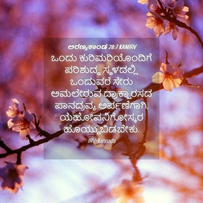 Picture 04 - ಅರಣ್ಯಕಾಂಡ 28:7 KANIRV - ಒಂದು - Bible Verse Picture