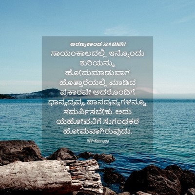 Picture 04 - ಅರಣ್ಯಕಾಂಡ 28:8 KANIRV - ಸಾಯಂಕಾಲದಲ್ಲಿ - Bible Verse Picture