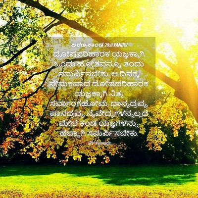 Picture 04 - ಅರಣ್ಯಕಾಂಡ 29:11 KANIRV - ದೋಷಪರಿಹಾರಕ - Bible Verse Picture