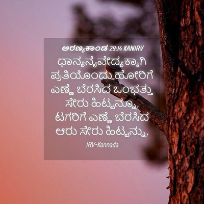 Picture 04 - ಅರಣ್ಯಕಾಂಡ 29:14 KANIRV -  - Bible Verse Picture