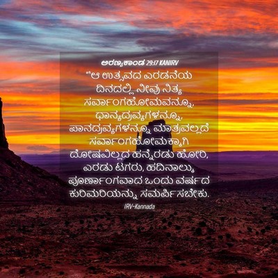 Picture 04 - ಅರಣ್ಯಕಾಂಡ 29:17 KANIRV - “‘ಆ ಉತ್ಸವದ ಎರಡನೆಯ - Bible Verse Picture