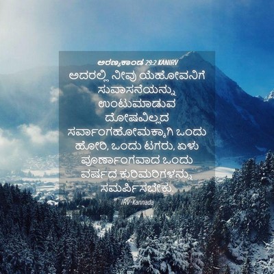 Picture 04 - ಅರಣ್ಯಕಾಂಡ 29:2 KANIRV - ಅದರಲ್ಲಿ ನೀವು - Bible Verse Picture