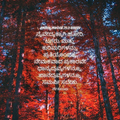 Picture 04 - ಅರಣ್ಯಕಾಂಡ 29:21 KANIRV - ನೈವೇದ್ಯಕ್ಕಾಗಿ - Bible Verse Picture