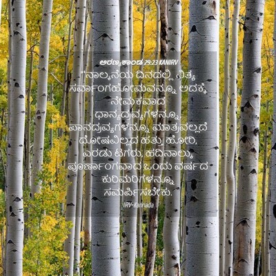 Picture 04 - ಅರಣ್ಯಕಾಂಡ 29:23 KANIRV - “‘ನಾಲ್ಕನೆಯ - Bible Verse Picture