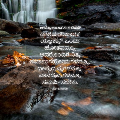 Picture 04 - ಅರಣ್ಯಕಾಂಡ 29:38 KANIRV - ದೋಷಪರಿಹಾರಕ - Bible Verse Picture