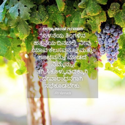 Picture 04 - ಅರಣ್ಯಕಾಂಡ 29:7 KANIRV - “‘ಏಳನೆಯ ತಿಂಗಳಿನ - Bible Verse Picture