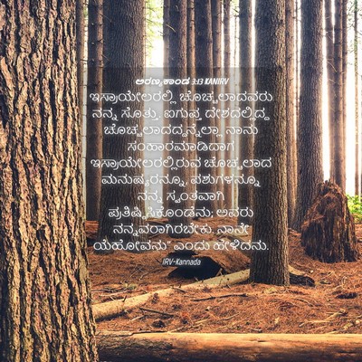 Picture 04 - ಅರಣ್ಯಕಾಂಡ 3:13 KANIRV - ಇಸ್ರಾಯೇಲರಲ್ಲಿ - Bible Verse Picture