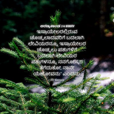 Picture 04 - ಅರಣ್ಯಕಾಂಡ 3:41 KANIRV - ಇಸ್ರಾಯೇಲರಲ್ಲಿರುವ - Bible Verse Picture