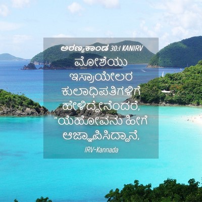 Picture 04 - ಅರಣ್ಯಕಾಂಡ 30:1 KANIRV - ಮೋಶೆಯು ಇಸ್ರಾಯೇಲರ - Bible Verse Picture