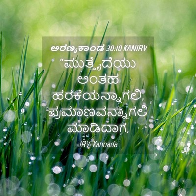 Picture 04 - ಅರಣ್ಯಕಾಂಡ 30:10 KANIRV - “ಮುತ್ತೈದೆಯು ಅಂತಹ - Bible Verse Picture