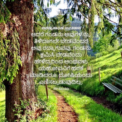 Picture 04 - ಅರಣ್ಯಕಾಂಡ 30:12 KANIRV - ಆದರೆ ಗಂಡನು - Bible Verse Picture