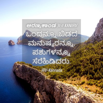 Picture 04 - ಅರಣ್ಯಕಾಂಡ 31:11 KANIRV - ಒಂದನ್ನೂ ಬಿಡದೆ - Bible Verse Picture