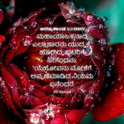 Picture 04 - ಅರಣ್ಯಕಾಂಡ 31:21 KANIRV - ಮಹಾಯಾಜಕನಾದ - Bible Verse Picture