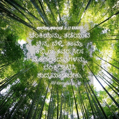 Picture 04 - ಅರಣ್ಯಕಾಂಡ 31:22 KANIRV - ಬೆಂಕಿಯನ್ನು ತಡೆಯುವ - Bible Verse Picture