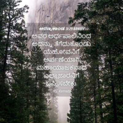 Picture 04 - ಅರಣ್ಯಕಾಂಡ 31:29 KANIRV - ಅವರ ಅರ್ಧಪಾಲಿನಿಂದ - Bible Verse Picture