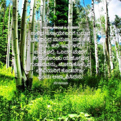 Picture 04 - ಅರಣ್ಯಕಾಂಡ 31:30 KANIRV - ಉಳಿದ ಇಸ್ರಾಯೇಲರಿಗೆ - Bible Verse Picture