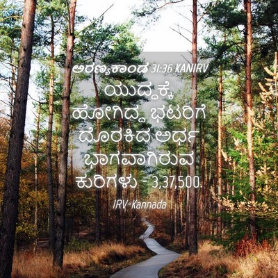 Picture 04 - ಅರಣ್ಯಕಾಂಡ 31:36 KANIRV - ಯುದ್ಧಕ್ಕೆ ಹೋಗಿದ್ದ - Bible Verse Picture